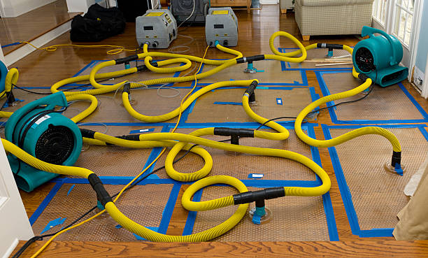 Professional Storm Water Damage Restoration technician working in Carbondale, IL